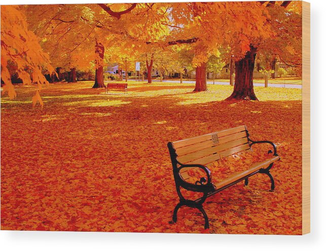 Fall Wood Print featuring the photograph Fall Bench Newburyport MA by Suzanne DeGeorge