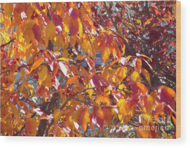 Fall Branches Wood Print featuring the digital art Fall Branches Paint by Donna L Munro