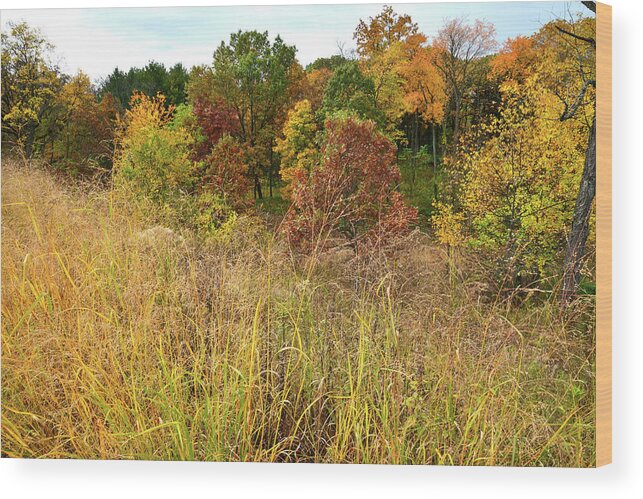 Mchenry County Wood Print featuring the photograph Fall Color Comes to Bull Valley by Ray Mathis