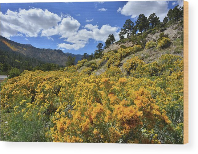 Humboldt-toiyabe National Forest Wood Print featuring the photograph Fall Colors Come to Mt. Charleston by Ray Mathis