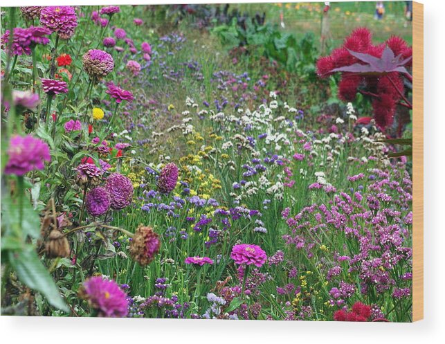 Flowers Wood Print featuring the photograph Fall garden scene by Mary Courtney