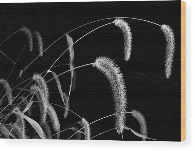 Grass Wood Print featuring the photograph Fall Grass 3 by Mark Fuller