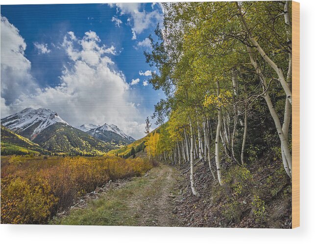 Red Mountain Wood Print featuring the photograph Fall in Colorado by Wesley Aston