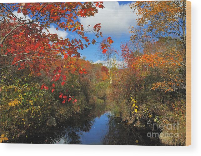 Fall Wood Print featuring the photograph Fall in New England 2 by Edward Sobuta