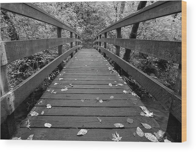 Bridge Wood Print featuring the photograph Fall In Oregon BW by Jonathan Davison