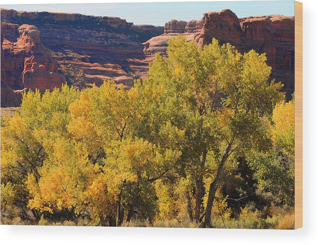 Reef In The Arches National Park. Image Is From My Book stopping By Woods Wood Print featuring the photograph Fall In The Arches by Lawrence Christopher