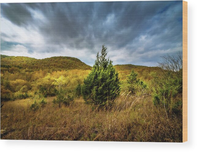Fall Wood Print featuring the photograph Fall in the Ozarks by Allin Sorenson