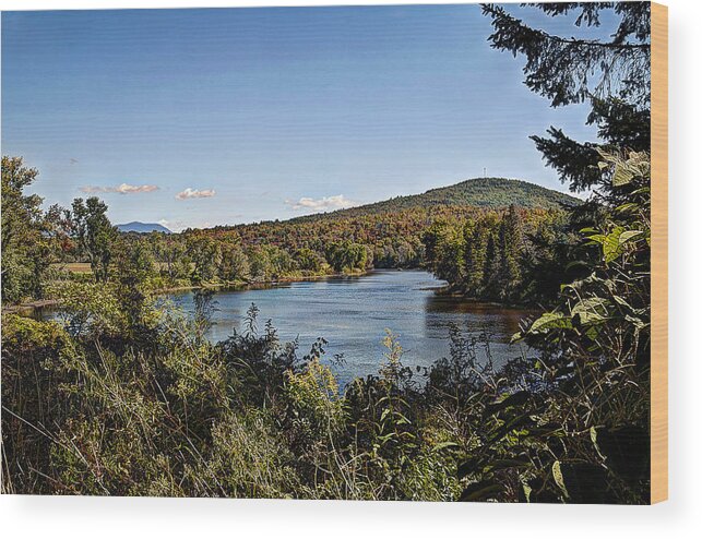 Trees Wood Print featuring the photograph Fall in the White Mountains by Deborah Klubertanz