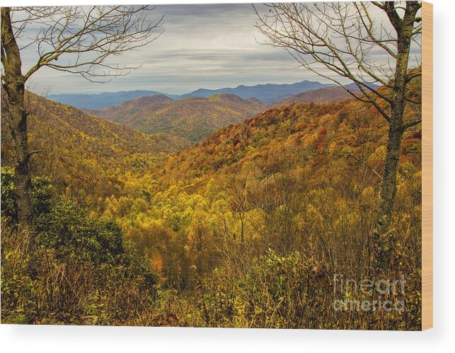 Fall Wood Print featuring the photograph Fall Mountain Overlook by Barbara Bowen