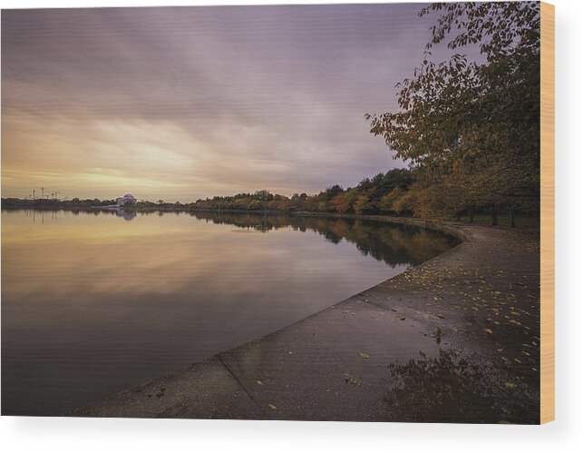 Alexandria Wood Print featuring the photograph Fall On The Tidal Basin by Michael Donahue