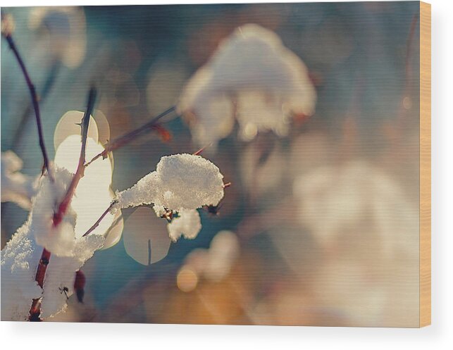 Dof Wood Print featuring the photograph Fall Snow by Tonya Doughty