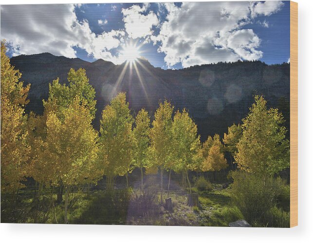 Humboldt-toiyabe National Forest Wood Print featuring the photograph Fall Sun Setting Over Mt. Charleston by Ray Mathis
