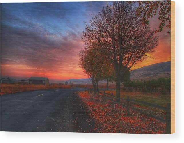 Fall Sunrise Wood Print featuring the photograph Fall sunrise by Lynn Hopwood