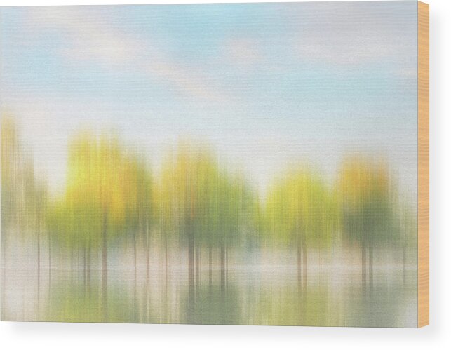 Art Wood Print featuring the photograph Fall Trees on flooded Lake by Robert FERD Frank
