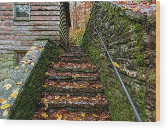 Sharon Popek Wood Print featuring the photograph Fall Up Stairs by Sharon Popek