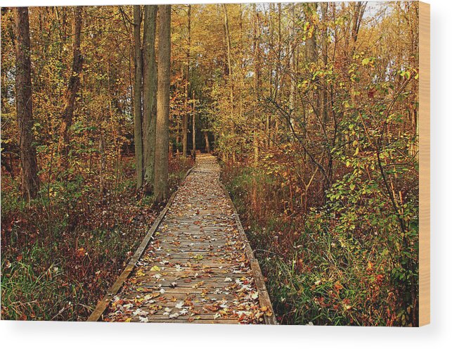 Boardwalk Wood Print featuring the photograph Fall Walk by Debbie Oppermann