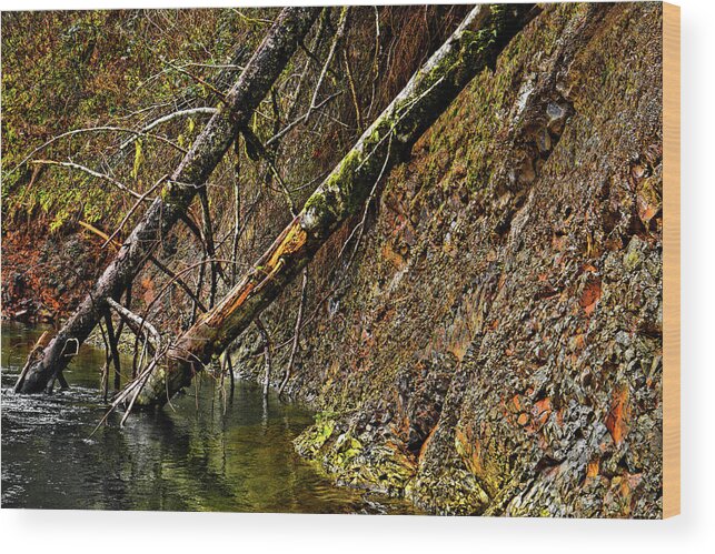 Riverscape Wood Print featuring the photograph Fallen Friends 2 by Jason Brooks