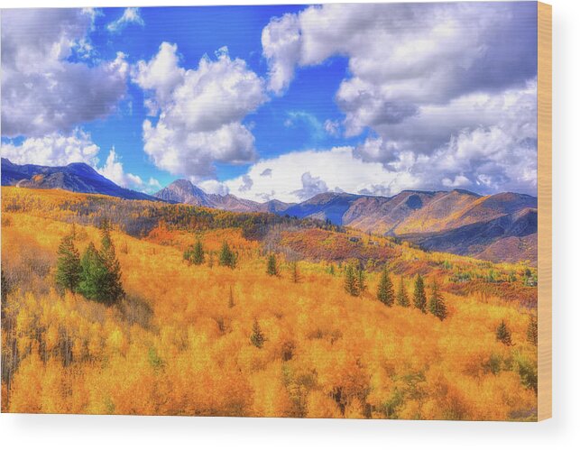 Colorado Wood Print featuring the photograph Fall's color by Midori Chan