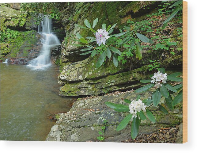 Waterfalls Wood Print featuring the photograph Falls On Catawba Creek by Alan Lenk
