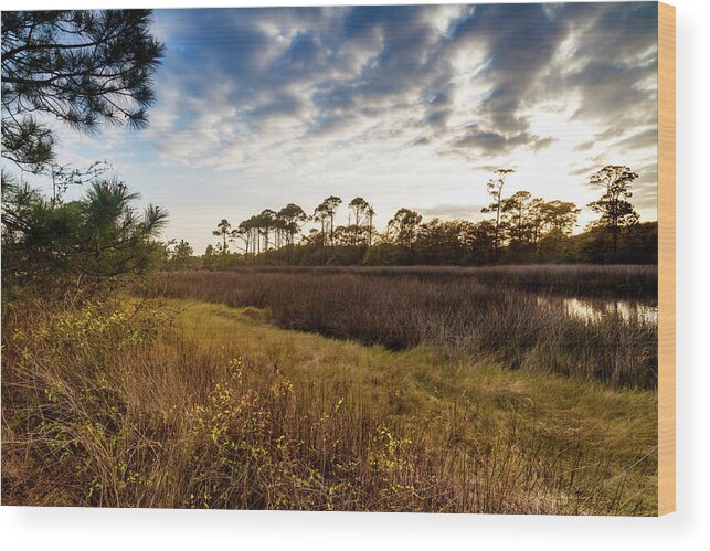Gulf Of Mexico Wood Print featuring the photograph Far Away by Raul Rodriguez