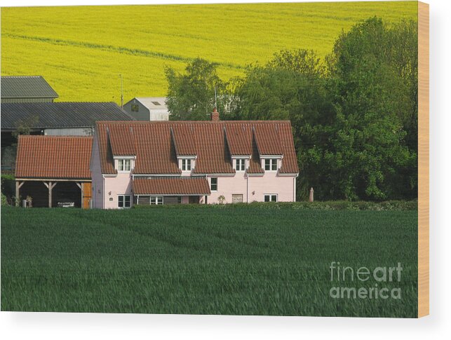 Farm Wood Print featuring the photograph Farm Fields by Ann Horn