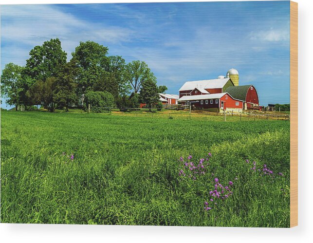 Agriculture Wood Print featuring the photograph Farm in Summer by Chuck De La Rosa