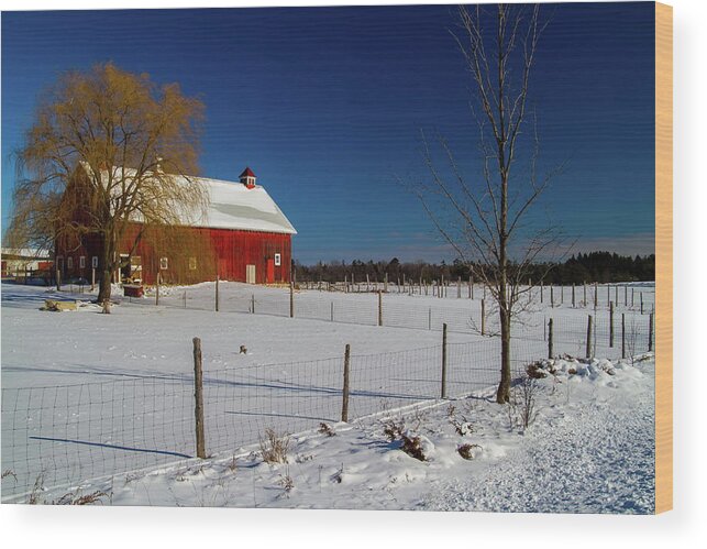 Agrarian Wood Print featuring the photograph Farm in Winter by Chuck De La Rosa