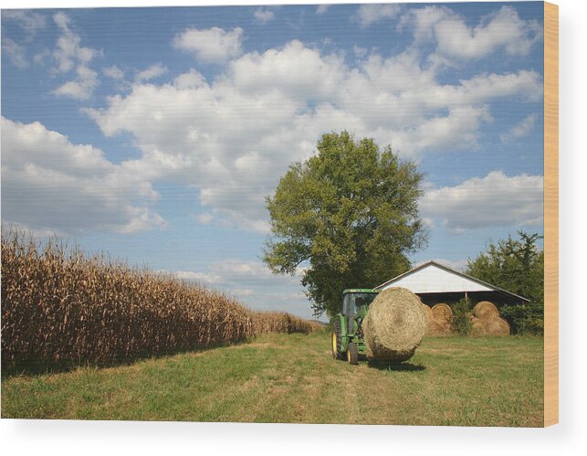 Farm Wood Print featuring the photograph Farm Life by Patricia Montgomery