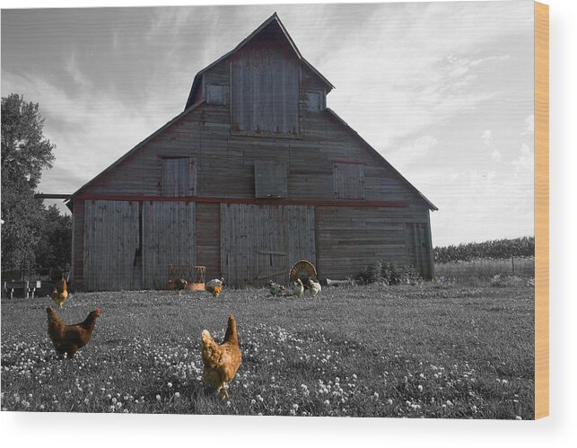 Unique Wood Print featuring the photograph Farmer John's by Dylan Punke