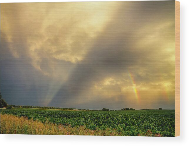 Agriculture Wood Print featuring the photograph Farmers Weather Optics by James BO Insogna