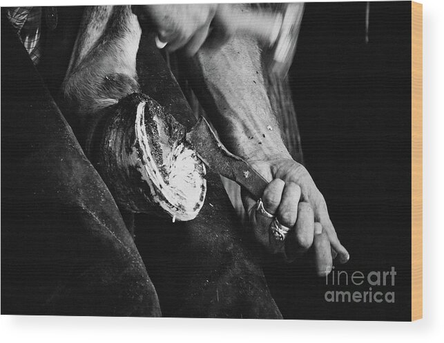 Horse Wood Print featuring the photograph Farrier at work on horses hoof by Dimitar Hristov