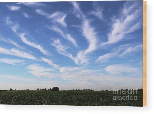 Clouds Wood Print featuring the photograph Feathers in Blue Sky by Yumi Johnson
