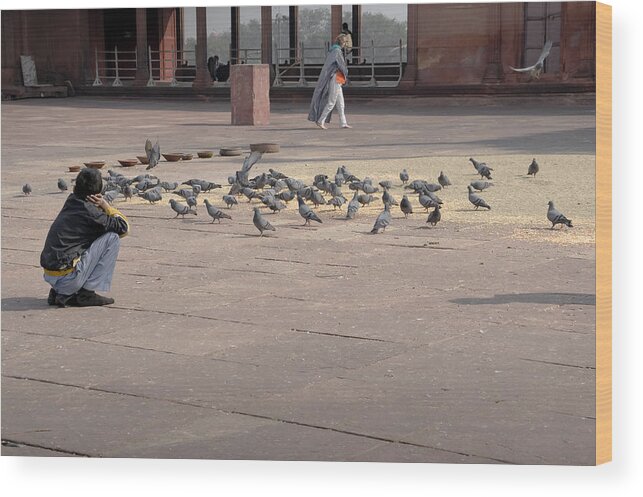 Pigeons Wood Print featuring the photograph Feeding pigeons in Delhi mosque. by Elena Perelman