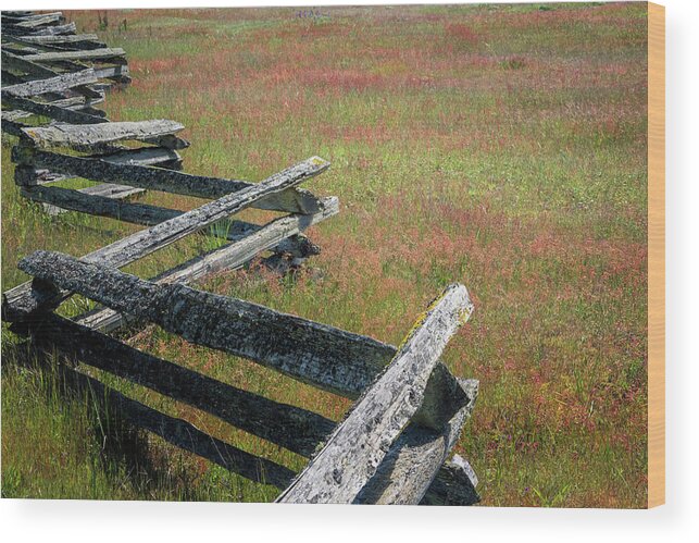 Oregon Coast Wood Print featuring the photograph Fence And Field by Tom Singleton