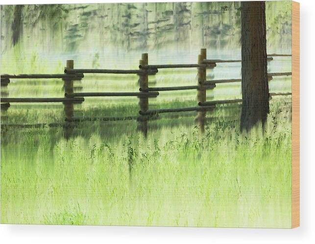 Fences Wood Print featuring the photograph Fenced Out by Deborah Hughes