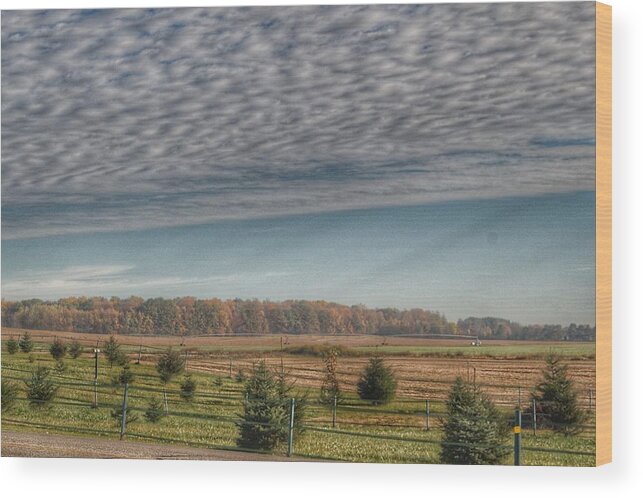 Barn Wood Print featuring the photograph 9017 - Fences, Firs and Fall by Sheryl L Sutter