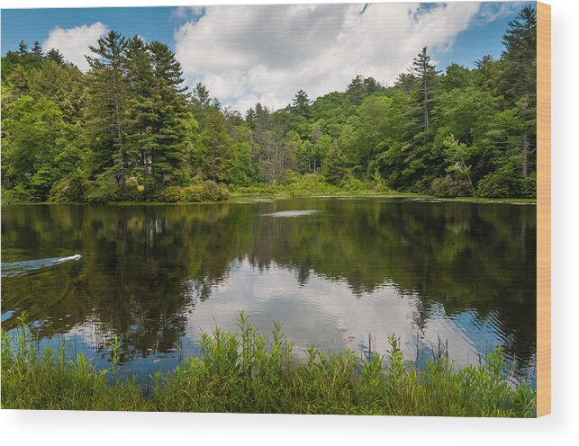 Lake Wood Print featuring the photograph Fetch by James L Bartlett