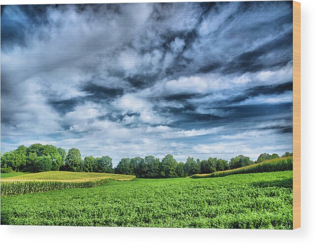 Field Wood Print featuring the photograph Field of Dreams One by Steven Ainsworth