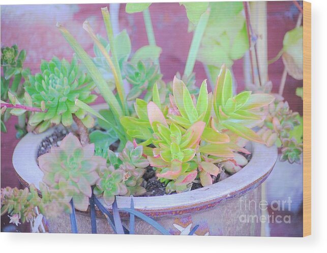 Pot Wood Print featuring the photograph Filled with Color by Merle Grenz