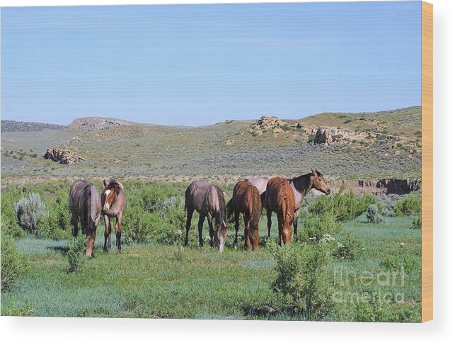 Fillies Wood Print featuring the photograph Fillies Day Out by Merle Grenz