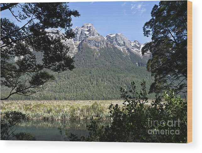 Queenstown Wood Print featuring the photograph Fiordland National Park, Earl Mountains. New Zealand. by Yurix Sardinelly