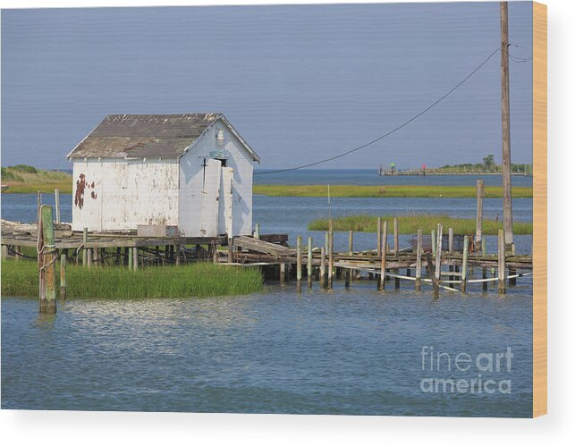 Fishing Huts Wood Print featuring the photograph Fishing shanty on Tangier Island in Chesapeake Bay by Louise Heusinkveld
