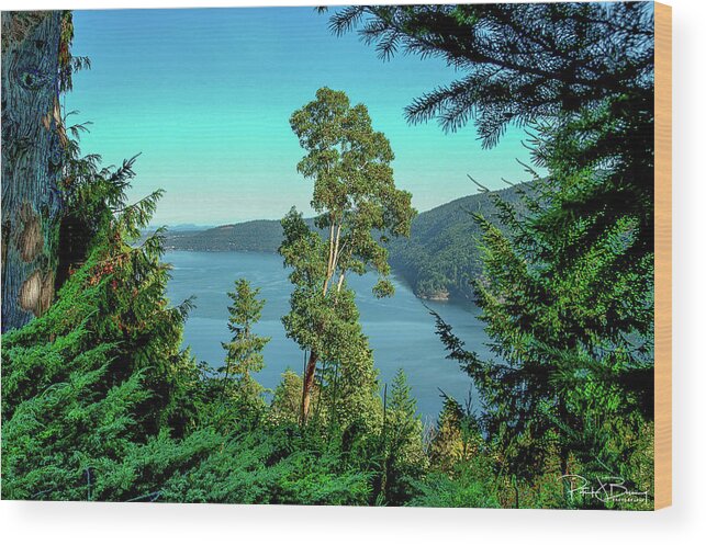 British Columbia Wood Print featuring the photograph Fjord by Patrick Boening
