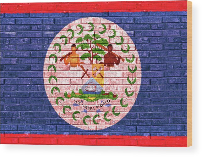 Belize Wood Print featuring the digital art Flag of Belize Wall by Roy Pedersen