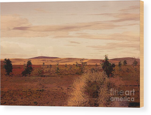 Morocco Wood Print featuring the photograph Flat Land Scenic Morocco View from Train Window by Chuck Kuhn