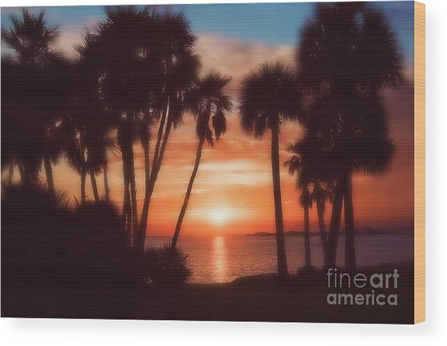 Florida Wood Print featuring the photograph Florida- Sunset Memories by Janie Johnson