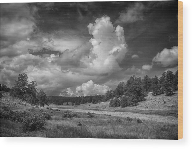 Florissant Wood Print featuring the photograph Florissant Fossil Bed NP Colorado BnW IMG_8508 by Greg Kluempers