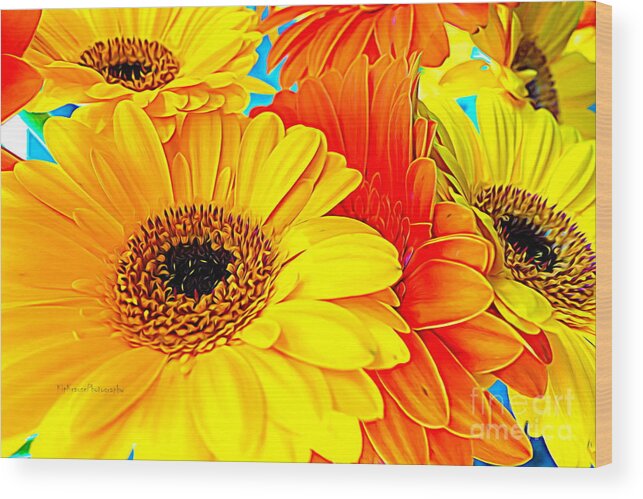 Colorful Flower Wood Print featuring the photograph Flower - Life of a daisy by Kip Krause