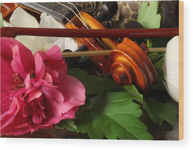 Violin Wood Print featuring the photograph Flower Song by Robert Och