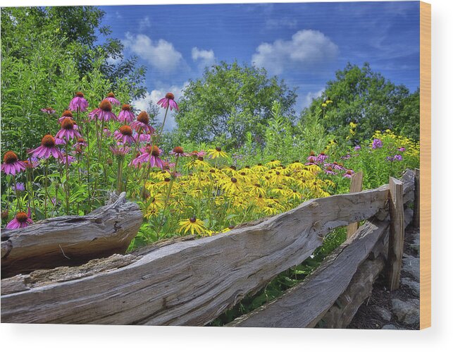 Flower Wood Print featuring the photograph Flowers along a wooden fence by Steve Hurt